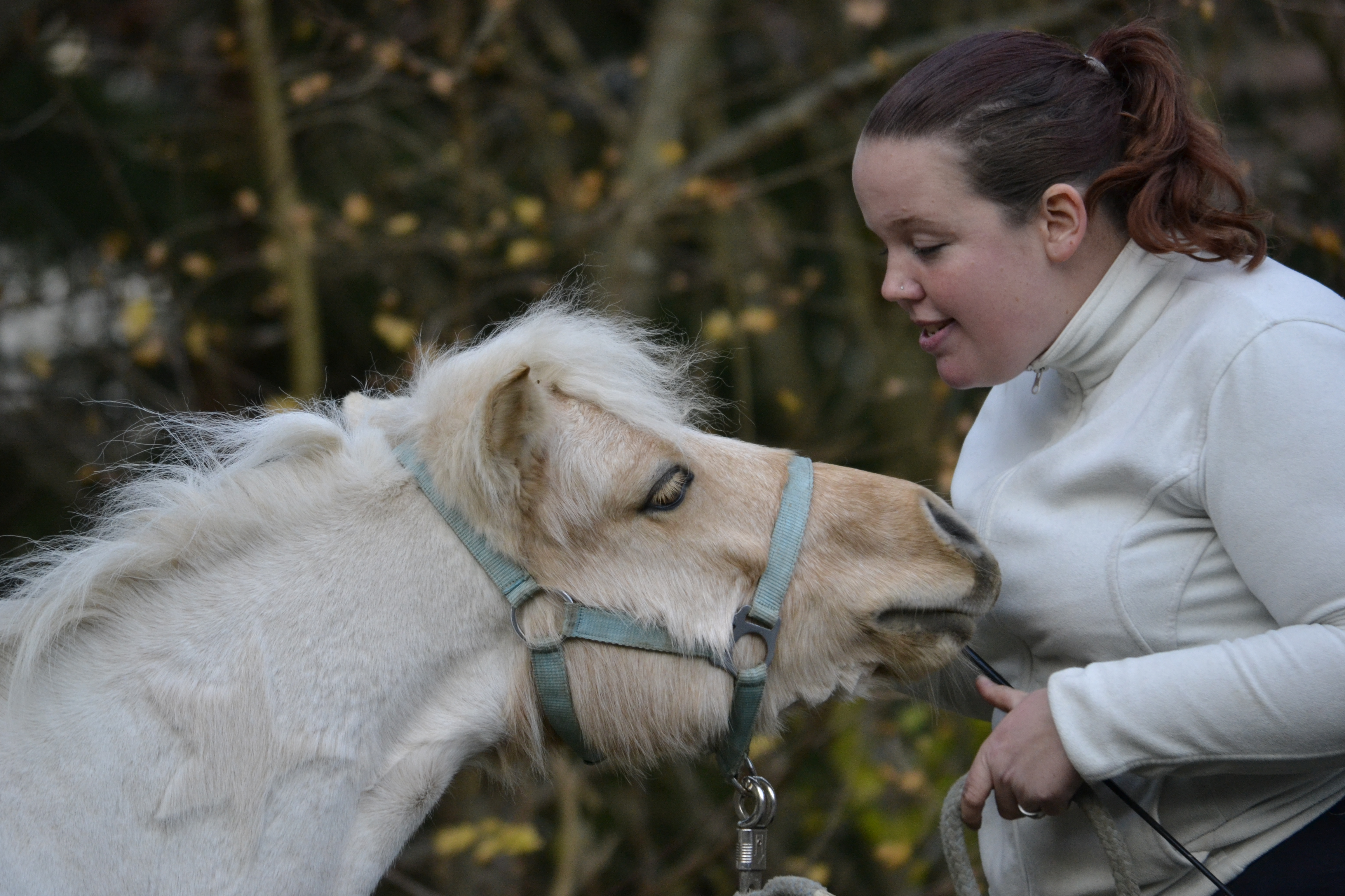 dsc7564.jpg